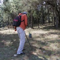 Presunto ecocida planta 100 árboles para ser liberado