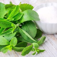 5 plantas poderosas para prevenir la diabetes y bajar el azúcar en sangre