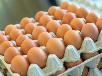 No tires los maples de huevos y hacé este objeto para decorar tu living sin gastar ni un peso
