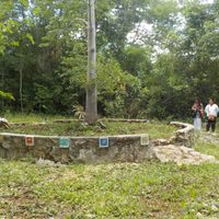 Tren Maya, daños al patrimonio: Investigadores del INAH a Fiscalía