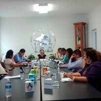 IEE de Colima niega registro como partidos a 3 organizaciones