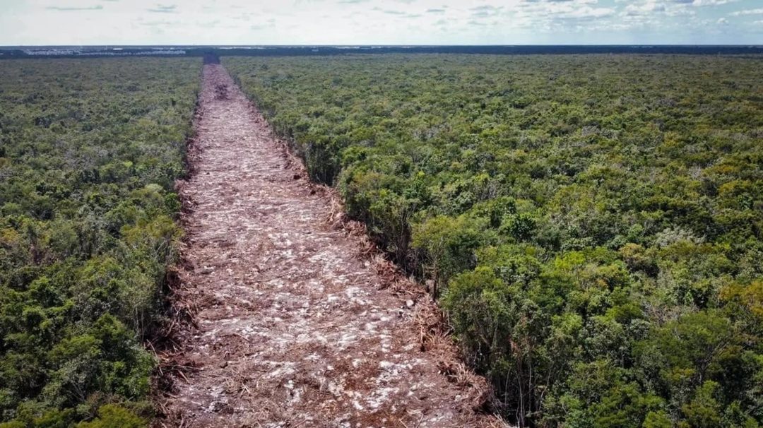tren-maya-ecocidio-2