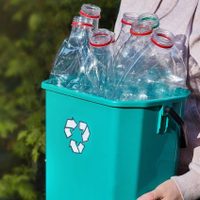 No tires las botellas plásticas: mirá cómo utilizarlas para beneficiar a tus plantas y ahorrar tiempo