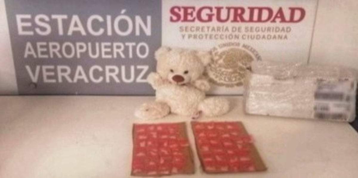 Droga llevada al interior de un oso de peluche