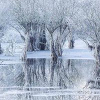 Conoce las imágenes ganadoras del Premio al Fotógrafo de Vida Silvestre