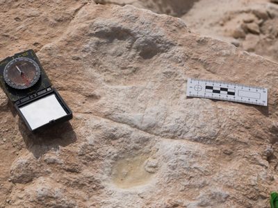 Histórico hallazgo: huellas demuestran cómo los humanos abandonaron África hace 120.000 años