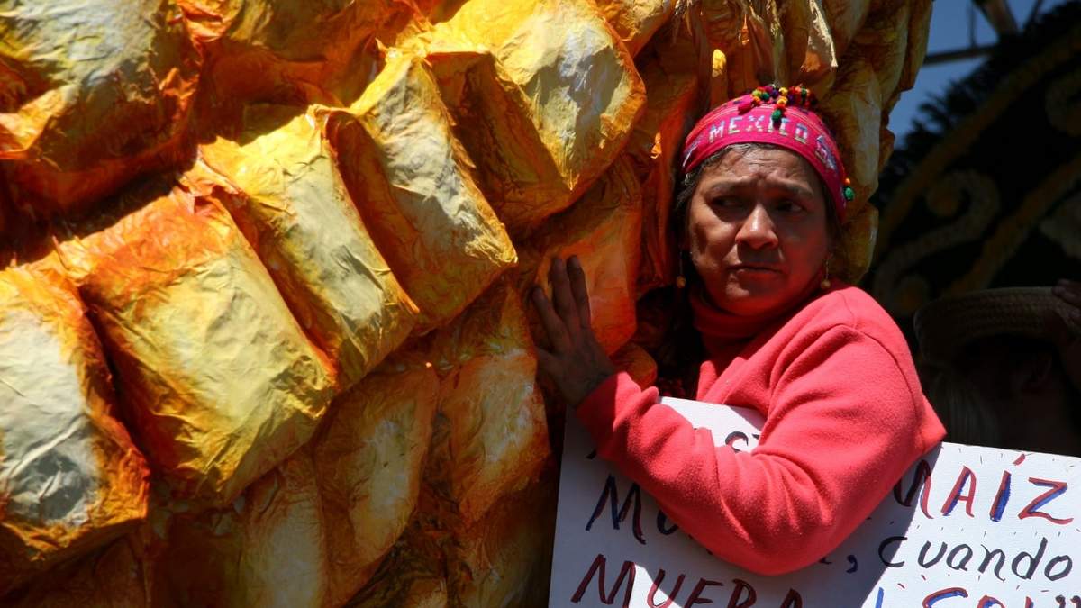 Protesta contra la importación de maíz estadunidense