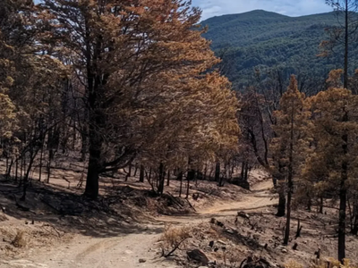 El Bolsón: gracias a un incendio subterráneo, descubren una veta de carbón de millones de años