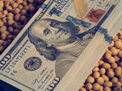Dólar soja: se esperan ingresos de 2.000 millones de dólares