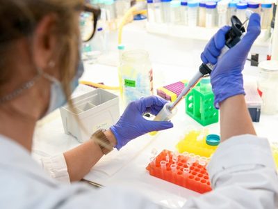 "Podrá comenzar a probarse en humanos": nuevos avances en la vacuna argentina contra el coronavirus