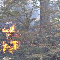 Susto cerca de Villa Pehuenia: controlan un incendio en un cerro