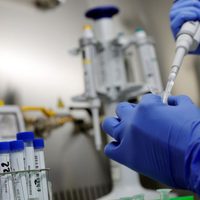 El CONICET pide “cautela” ante la nueva vacuna rusa