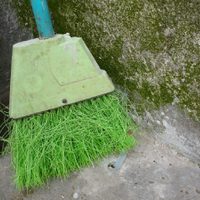 Pensá dos veces antes de tirar tus escobas viejas: mirá estas increíbles ideas para darles otra oportunidad en casa