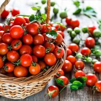 Los tomates cherry están carísimos: cultivalos vos mismo en casa con esta efectiva técnica