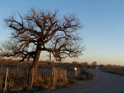 Clima en Neuquén: un domingo a puro sol pero algo fresquito