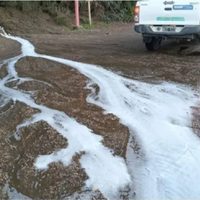 Multa millonaria a un complejo de cabañas de Villa La Angostura por contaminar el Correntoso
