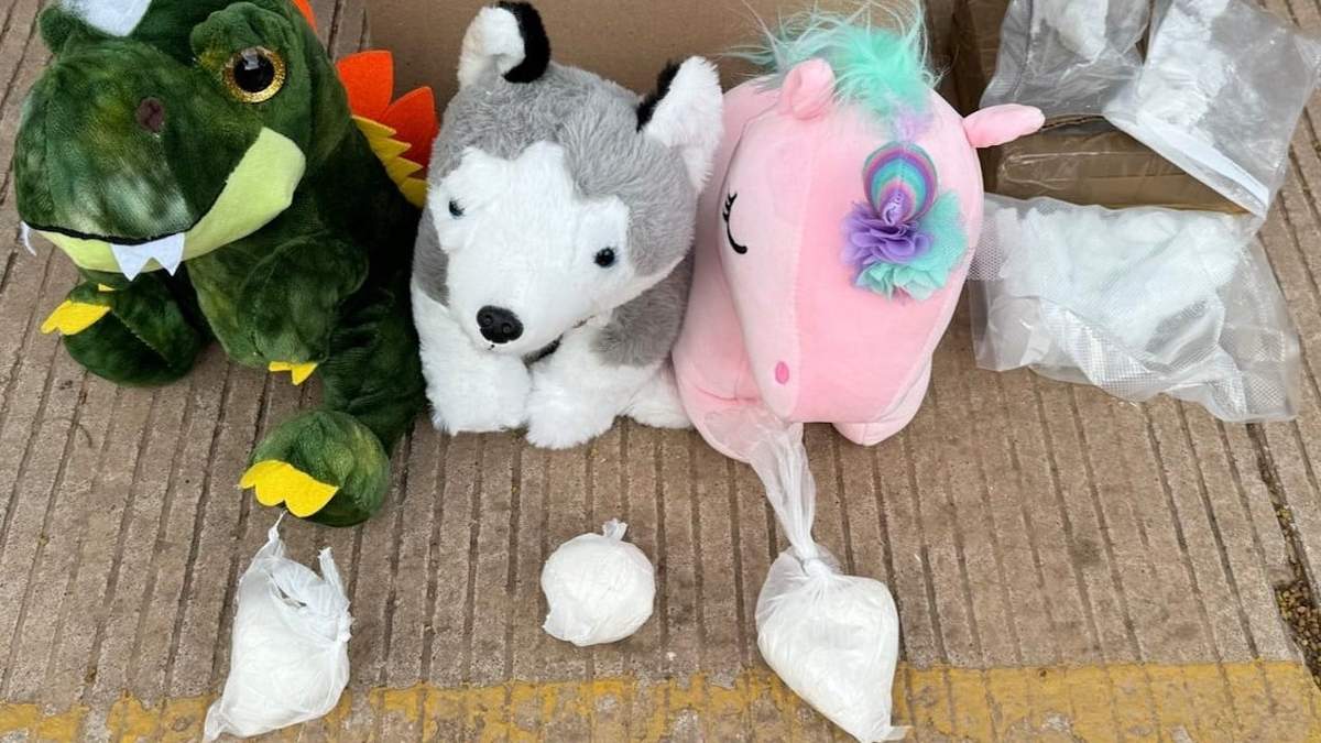 Las bolsas con la droga encontradas en la empresa de paquetería