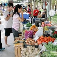 Las ferias neuquinas se preparan para su regreso