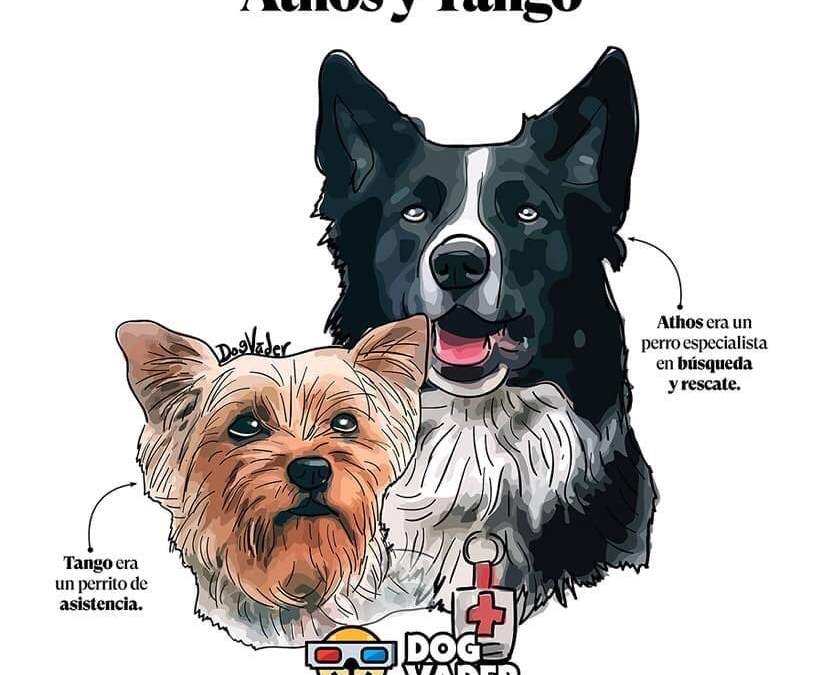 Perros rescatistas de la Cruz Roja de Querétaro, Athos y Tango