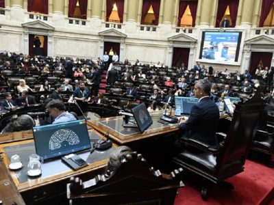 Diputados dio media sanción al proyecto del Gobierno para bajar la edad de imputabilidad a 14 años