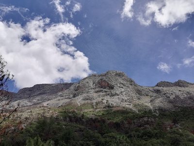 Sierra de Santiago, NL, incendiada y sin remediación