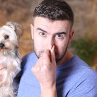 Eliminá el olor que dejan tus mascotas cuando ensucian, con 1 ingrediente que siempre tenés a mano