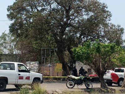 Perro ataca y mata a un niño de cinco años en Veracruz