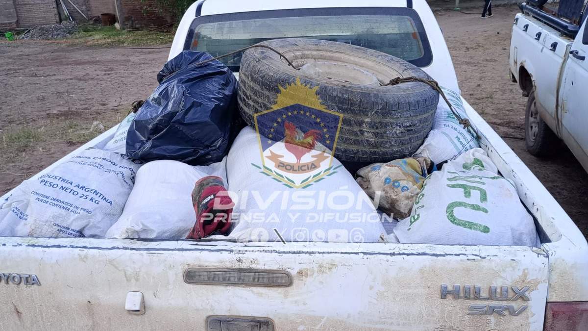 Carne de animales faenados. Fuente: (Policía de Neuquén).