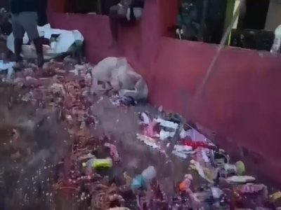 Estampida humana en templo de la India deja seis muertos