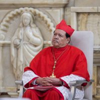 Organizaciones denuncian a obispos por encubrir a sacerdotes pederastas