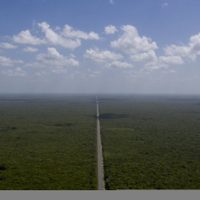 Adjudican a la Sedena parte del tramo 5 del Tren Maya disputado por 10 consorcios