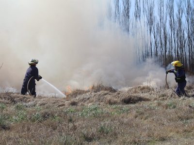 Triste récord en Centenario: hubo más de 130 incendios en solo tres meses