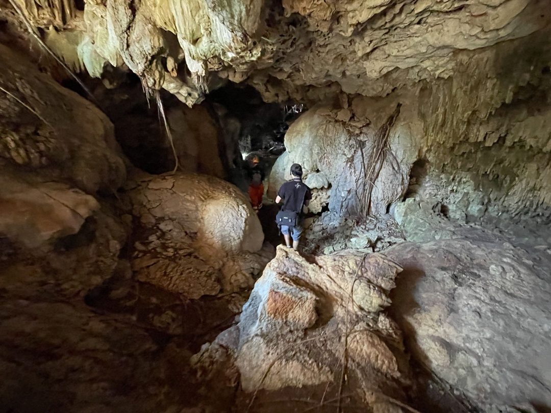 A lo largo de la obra del tramo 5 del Tren Maya que recorrerá Playa del Carmen, Quintana Roo, se observan cavernas y cenotes. Foto Elizabeth Ruiz  Cuartoscuro