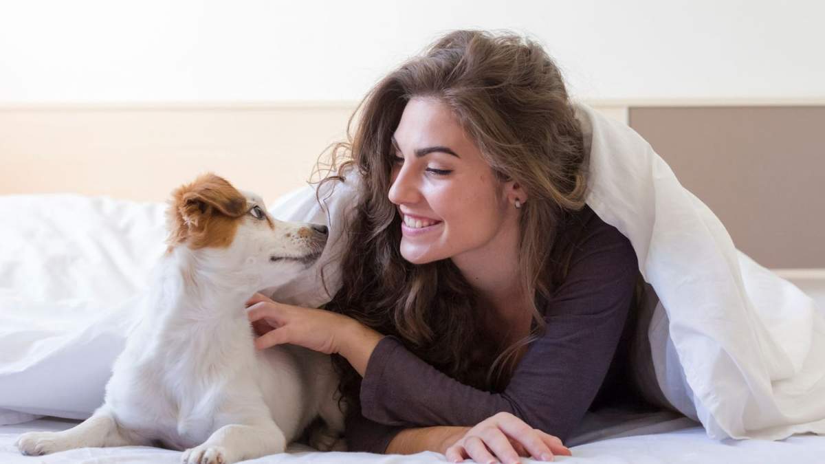 La higiene es un factor clave a considerar al compartir espacios de descanso con mascotas; los perros pueden transportar alérgenos y bacterias a la cama sin que sea visible.