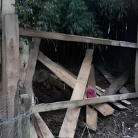 Una vecina de Villa La Angostura denunció a un funcionario por irrumpir en su vivienda