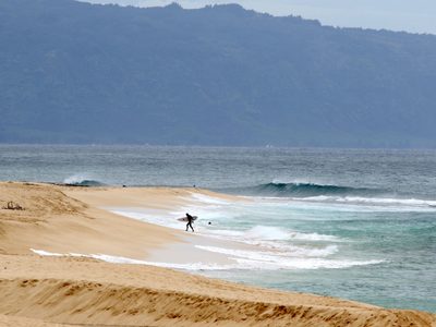 Socorrista profesional muere por un ataque de tiburón cuando hacía surf
