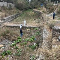 El asesino serial de Jujuy alimentaba a sus perros con carne humana