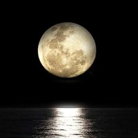 Con la Luna Nueva del 27 de mayo: 3 signos del Zodíaco reciben el empujón que necesitaban