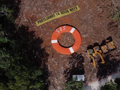 Juez pide al Fonatur copia certificada que declara al Tren Maya como seguridad nacional