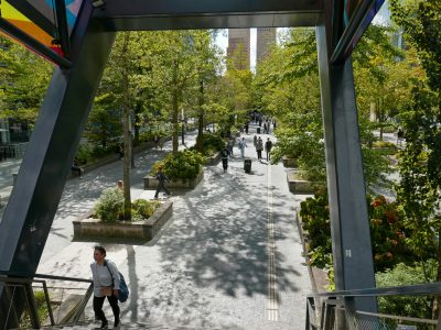 Proponen convertir autos abandonados en jardines móviles