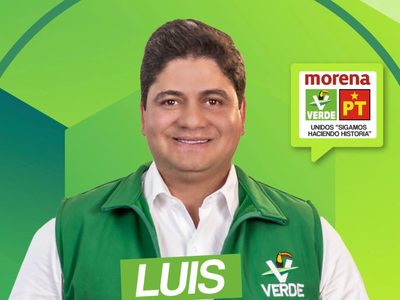 TEPJF tira elección de diputado electo del Verde por ser deudor alimentario moroso
