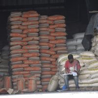 A inicios de 2025 toda la producción de fertilizantes correrá a cargo de Pemex: Romero