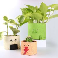 5 mini plantas que vas a querer tener en tu casa