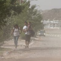 El SMN elevó una alerta amarilla por viento intenso: ¿qué provincia será la afectada?