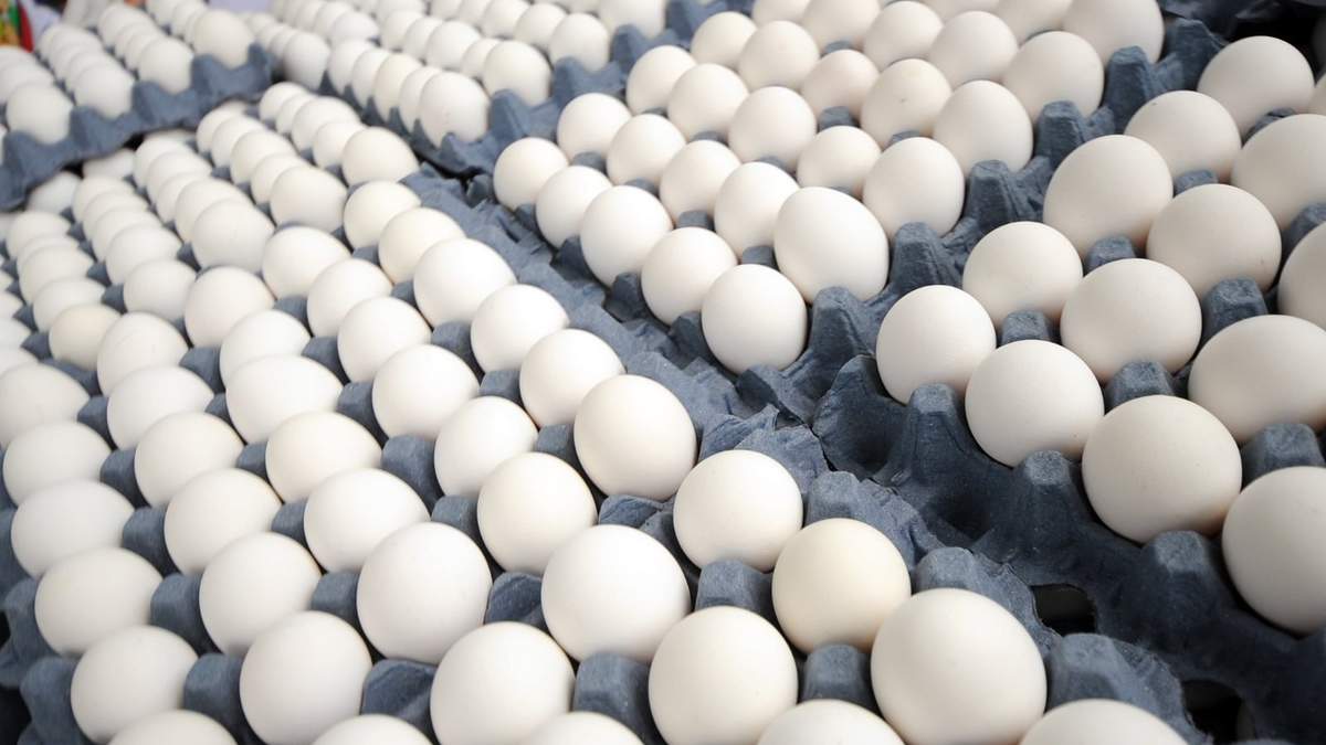 Una nueva investigación asocia la ingesta de huevos enteros y colesterol con el riesgo de muerte