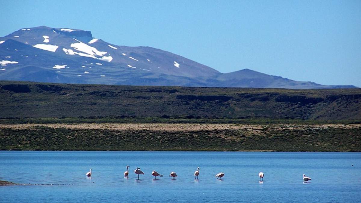 Hermosa postal del Parque Nacional Laguna Blanca, distante 30 km de Zapala.Fuente: (Twitter).