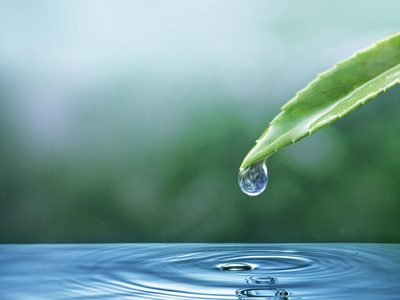Cuáles son los signos de Agua y como es su personalidad