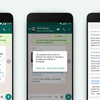 WhatsApp añade búsquedas en Internet para comprobar la información de los mensajes reenviados