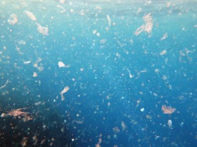 Microplásticos en todos lados: un proyecto británico los halló en aguas subterráneas profundas