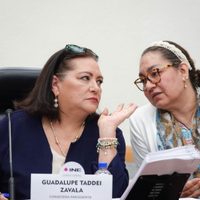 Taddei aprovecha llegada de nuevos consejeros al INE para oficializar nombramientos de sus cercanos